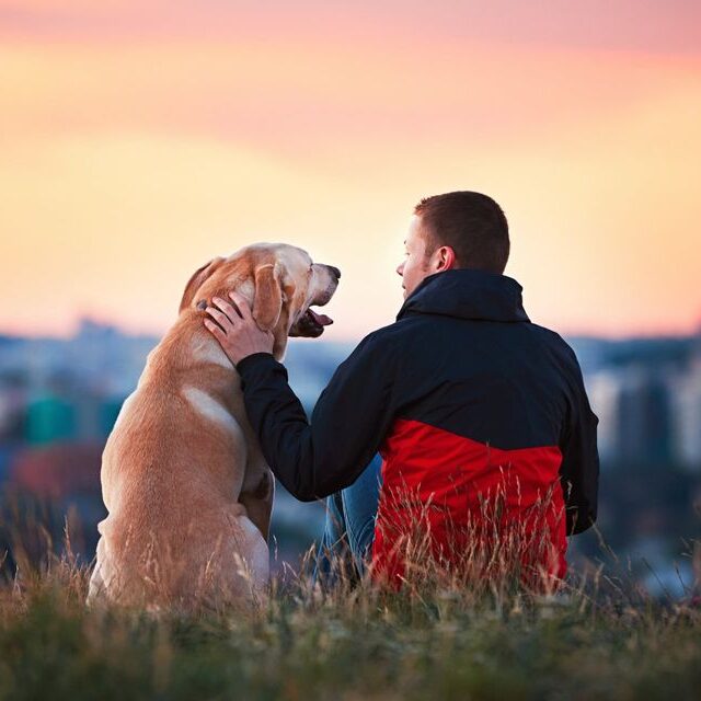 un proprietario abbraccia il proprio cane al tramonto